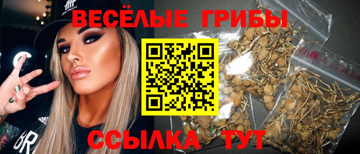 Псилоцибиновые грибы мухоморы Семилуки