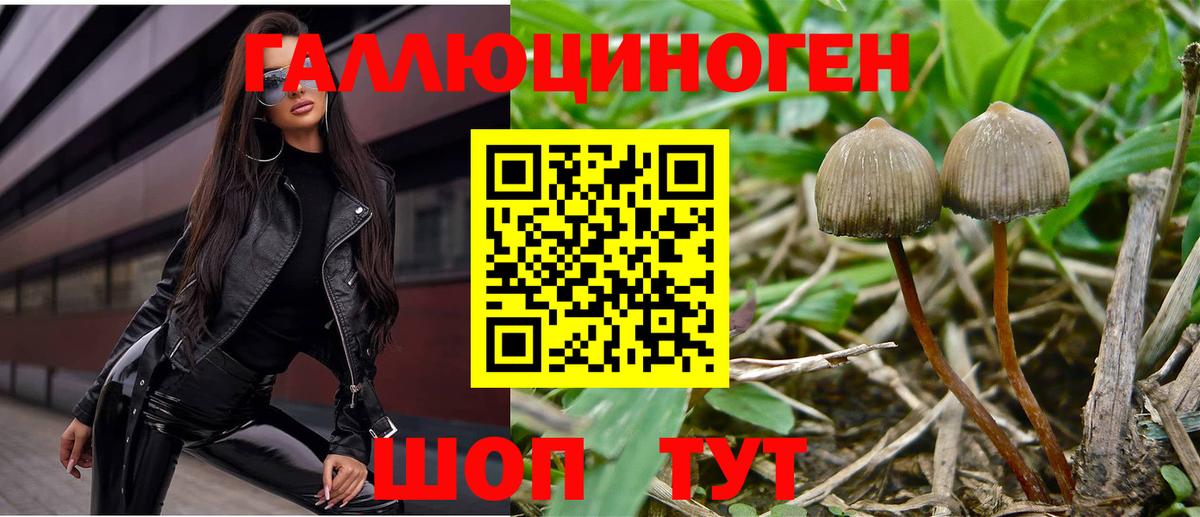 Псилоцибиновые грибы MAGIC MUSHROOMS  Вход с VPN  сколько стоит  Семилуки 